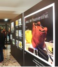 LED Pressewand, inklusive Druck auf Samba Backlit