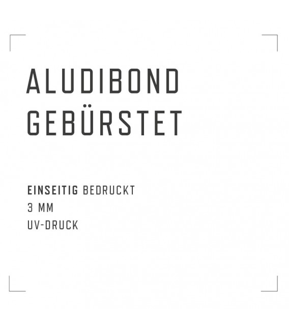 Aludibond gebürstet 3 mm